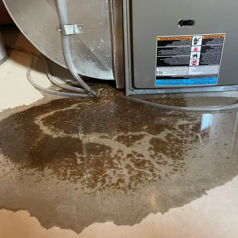 Pipe Burst and Leak Restoration in Lewis County, ID