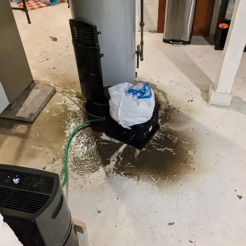 Sewage Backup Cleanup Service in Lewis County, ID